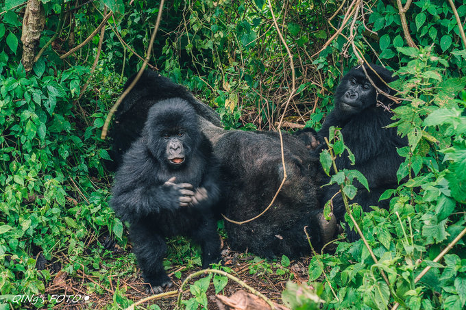 卢旺达队击败坦桑尼亚，成功晋级