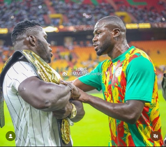 利记官方网站-非洲选手在国际比赛中亮相,成为焦点