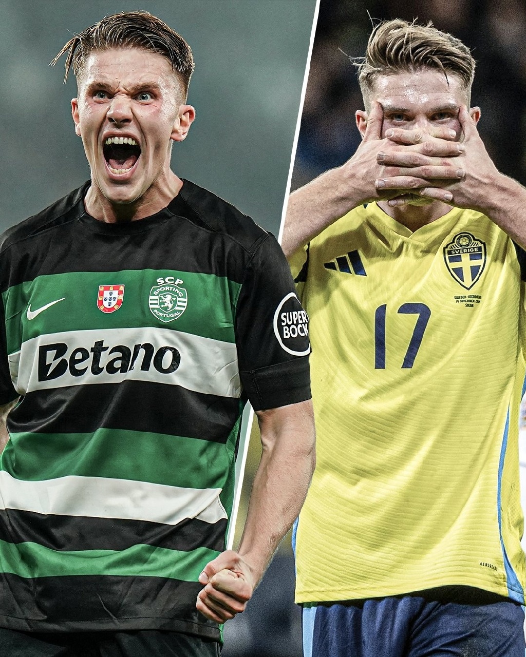 美国队力压瑞典,获世界杯亚军 美国队力压瑞典,获世界杯亚军