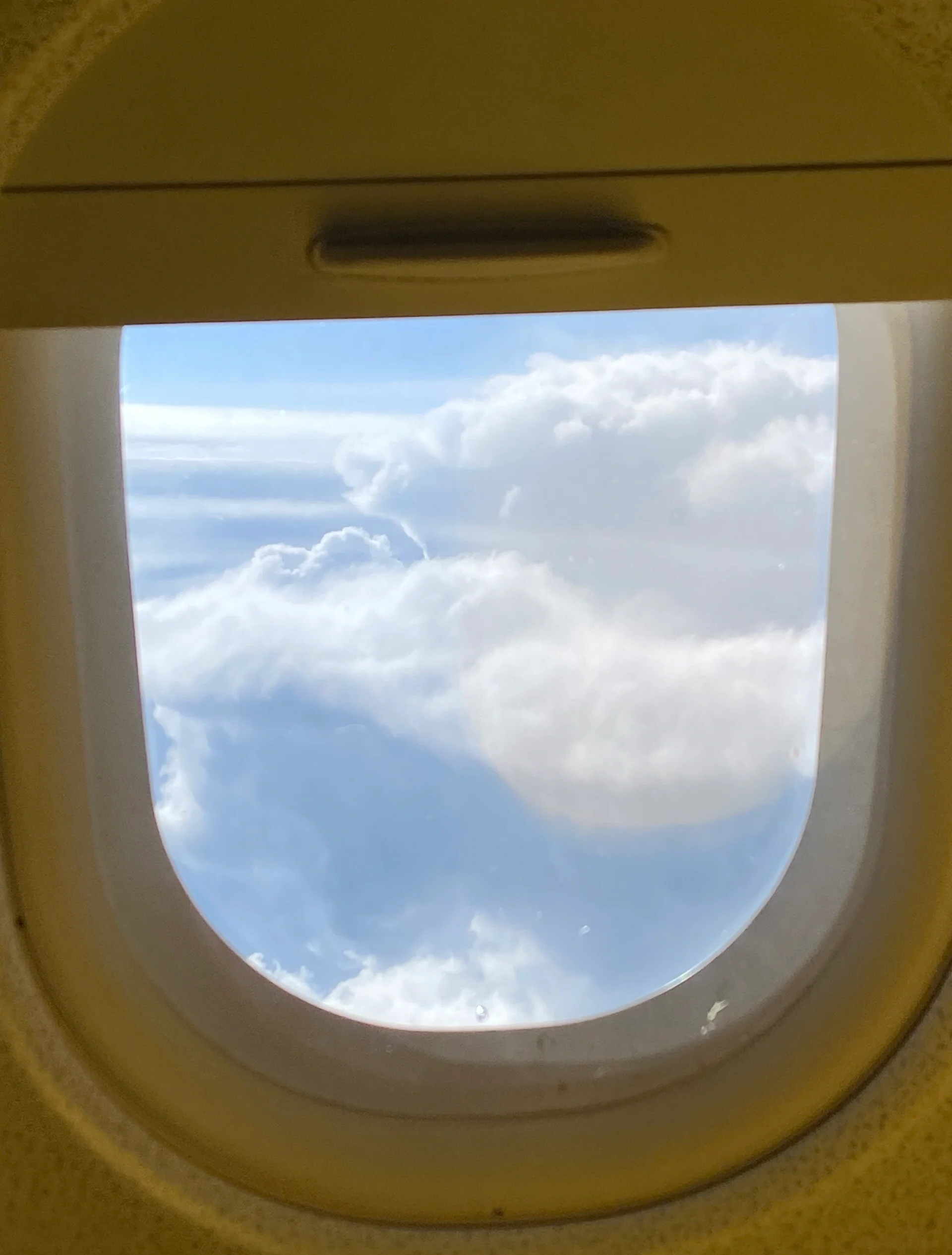 佛罗伦萨迎来客场重要胜利,取得转机 佛罗伦萨迎来客场重要胜利,取得转机