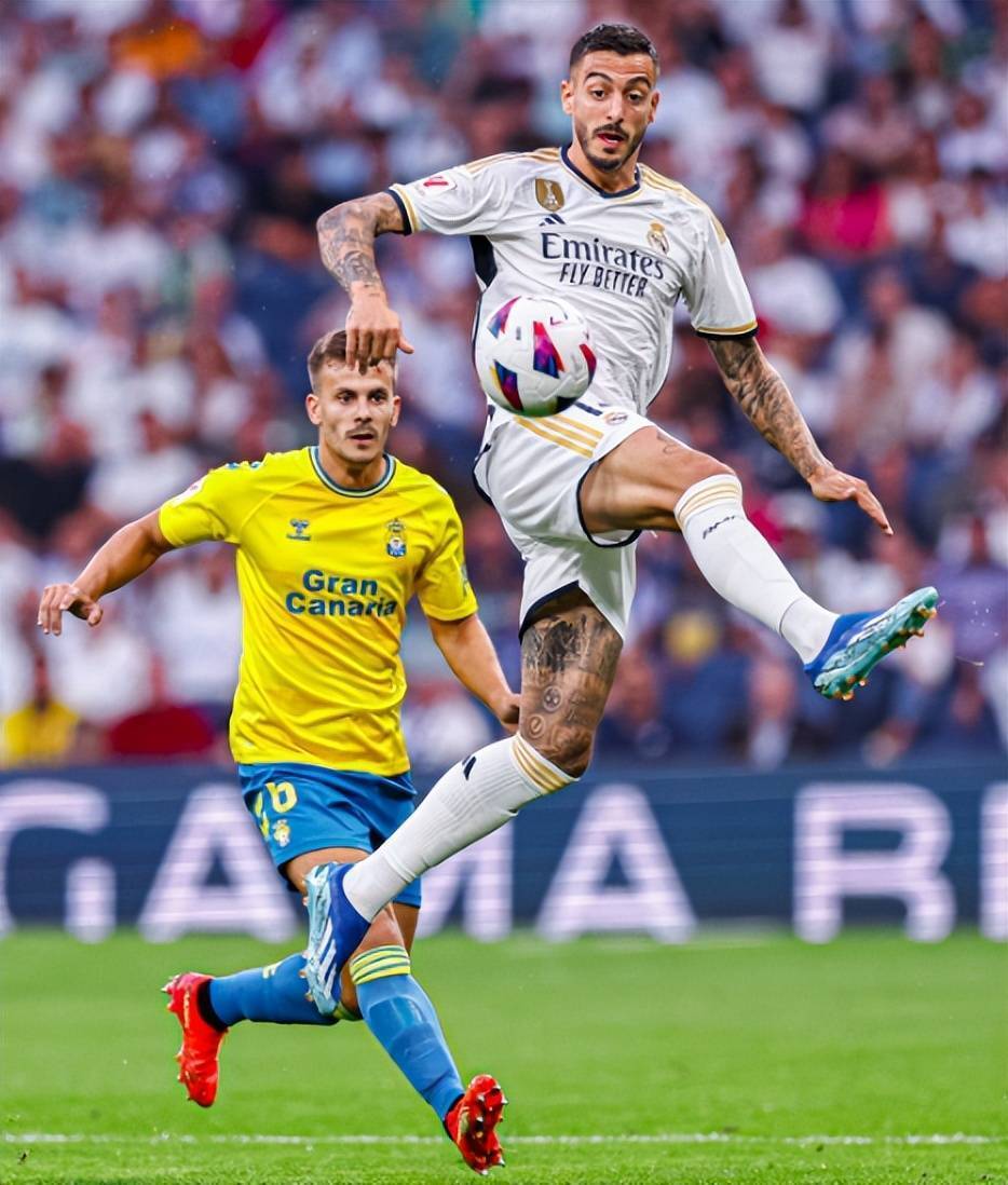 河南建业全队发挥出色,迎来胜利的喜悦 河南建业全队发挥出色,迎来胜利的喜悦